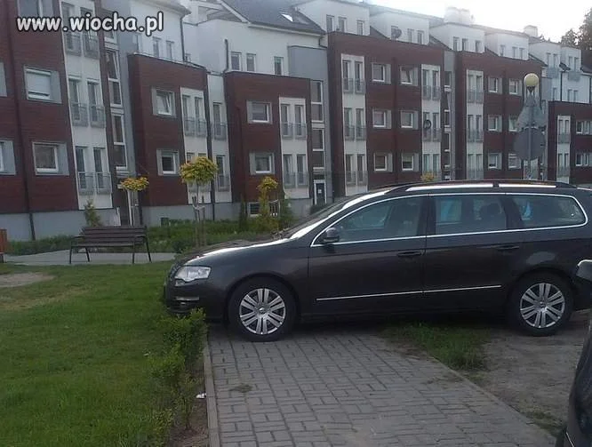 "Miszcz"