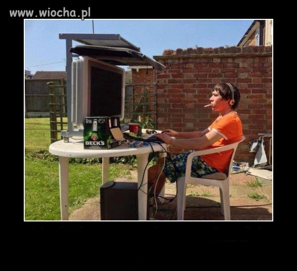 Admin Wiochy