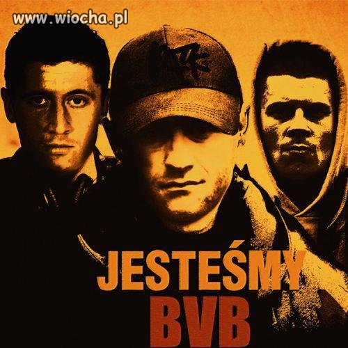Oszaleć na punkcie 3 kopaczy 
