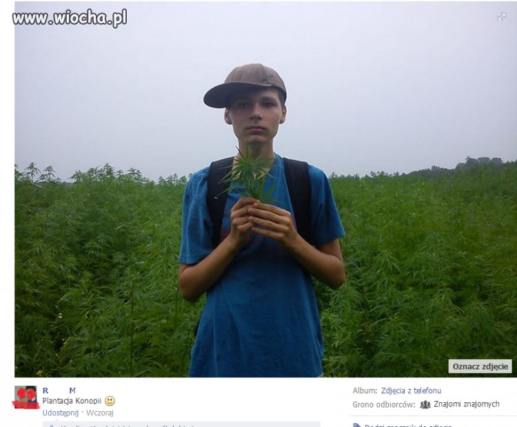 "Plantacja Konopii"