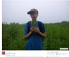 "Plantacja Konopii"