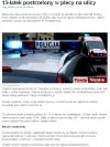 Niech pokażą morde zwyrodnialca który strzelał...