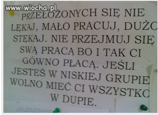 Prawda o pracy w Polsce