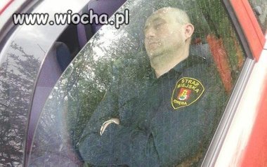 Tym zajmuje się straż miejska 