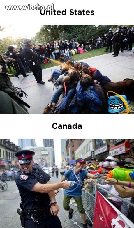 Policja i... policja