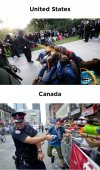 Policja i... policja