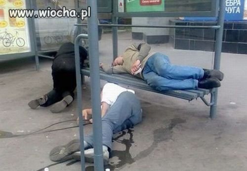 Wyprawa nocna czy na niej byłeś? 