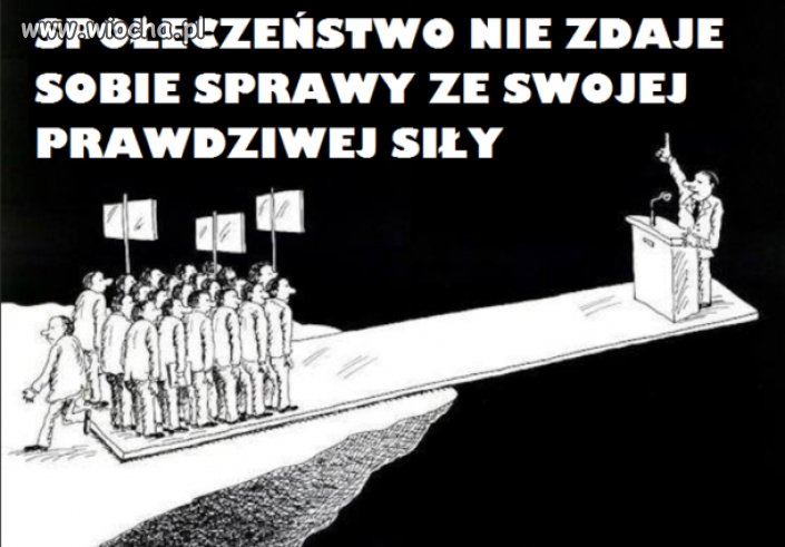 A poparcie leci na ryja