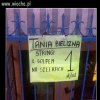 Z cyklu Polak potrafi