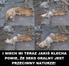 Taaak Taaak Taaak kotku ...
