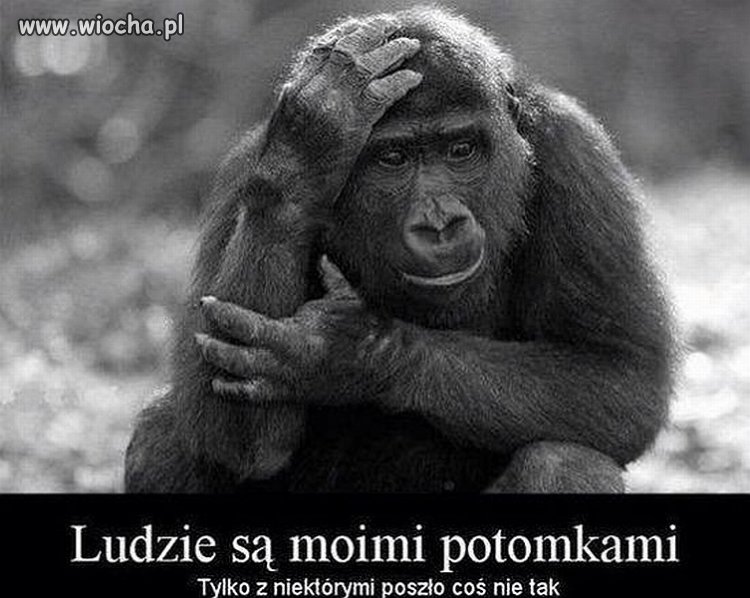 Coś w tym jest