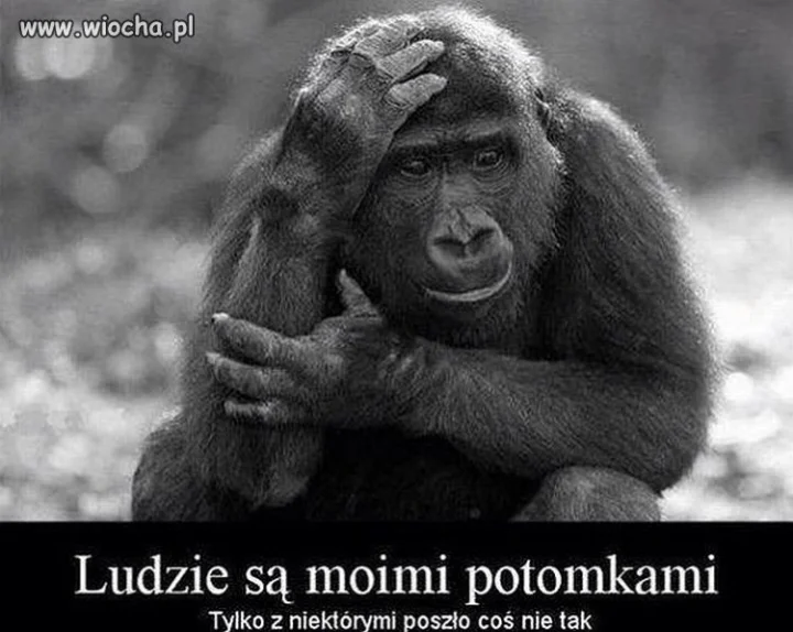 Coś w tym jest