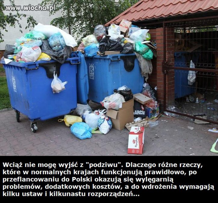 Bo to jest Polska