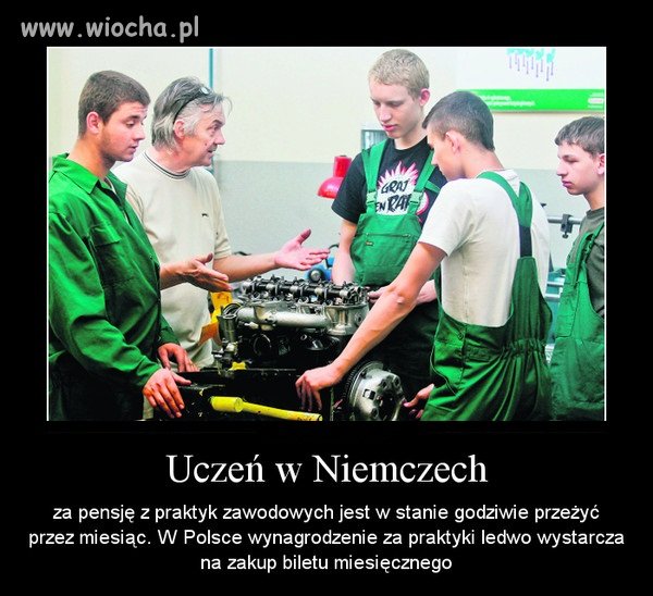 Praktyki za darmo lub za marne grosze 