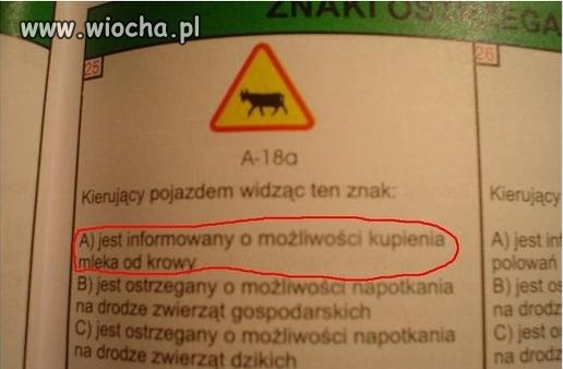Test na Prawo Jazdy ... 
