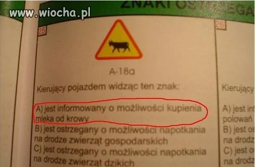 Test na Prawo Jazdy ... 