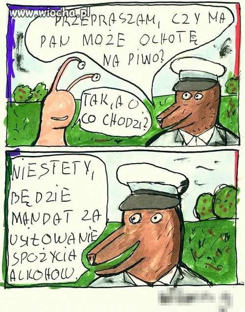Cała prawda o