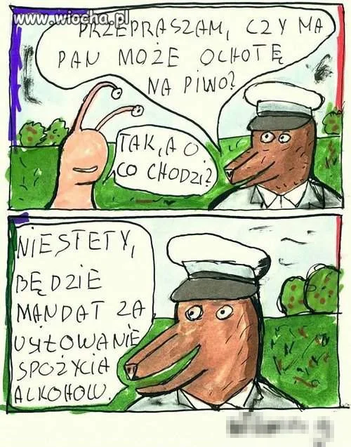Cała prawda o