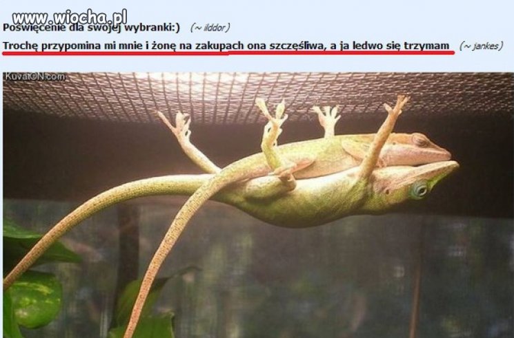 Z Żoną na zakupach...