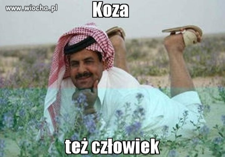Komu w drogę temu wina...