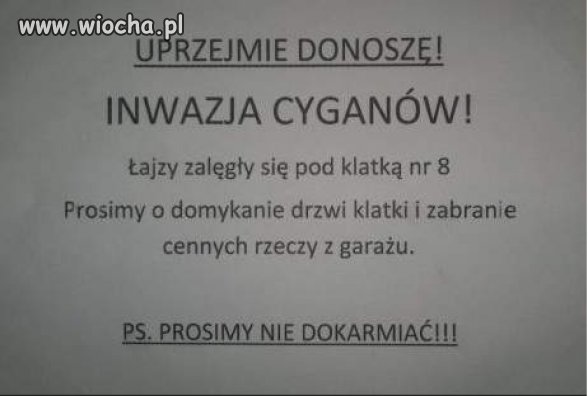 Na jednej z klatek...
