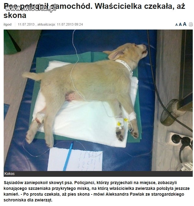 Śmieć a nie