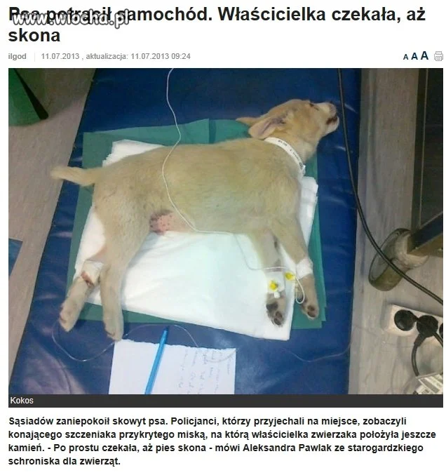 Śmieć a nie