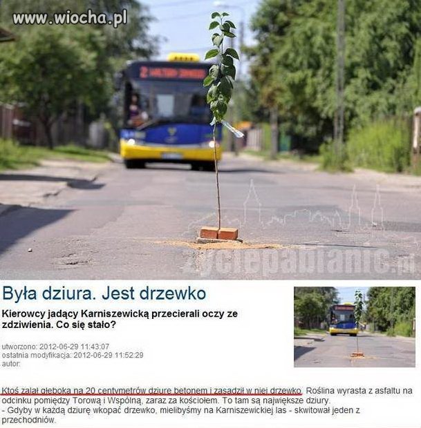Sposób na dziurawe drogi 