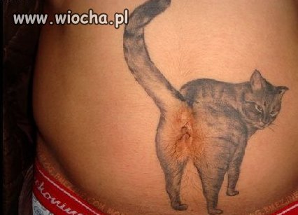 Szczyt głupoty. 