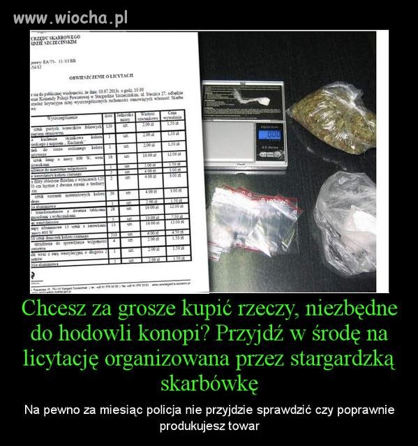 Chyba mają ludzi za idiotów