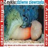 Natura jest genialna...