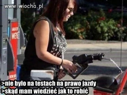 Program nauczania na prawo jazdy