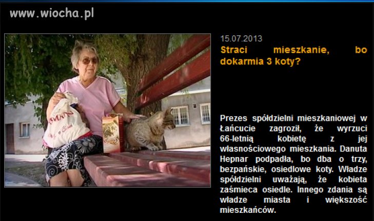Bo dokarmia koty