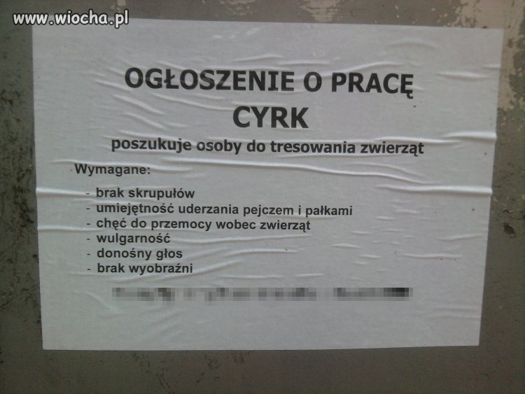Potrzebują sadysty, a nie trenera zwierząt