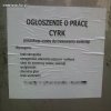Potrzebują sadysty, a nie trenera zwierząt