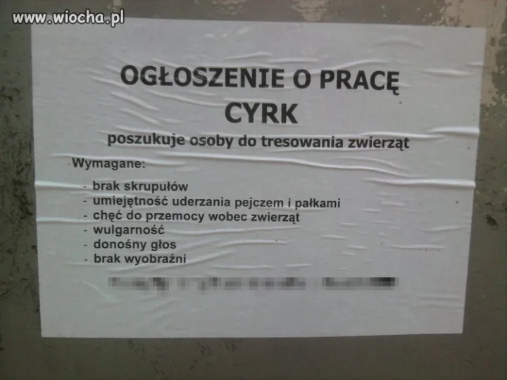 Potrzebują sadysty, a nie trenera zwierząt