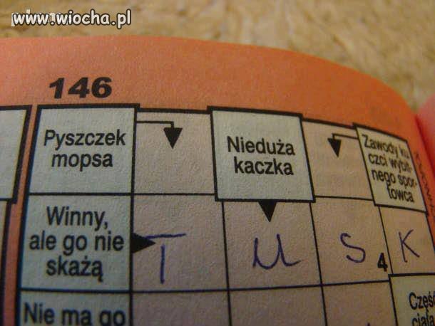 W tej krzyżowce