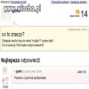 Ruuudzia 