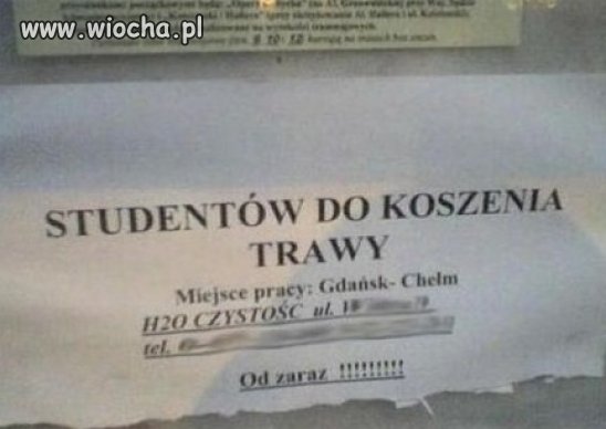 Podobno z wyższym wykształceniem nie znajdę pracy
