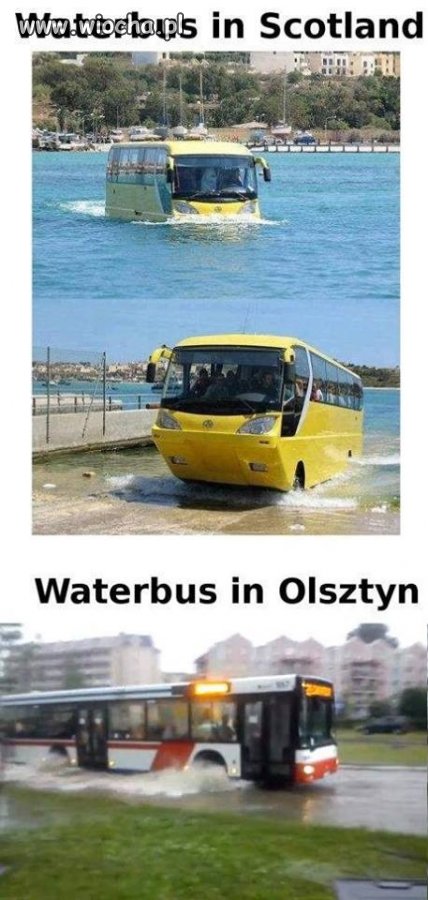 Made in Poland 