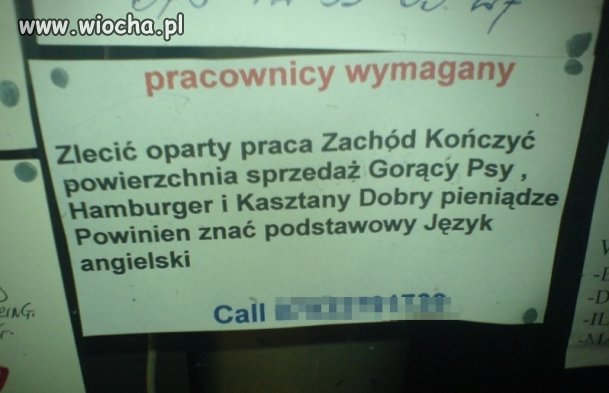 Oferta pracy...