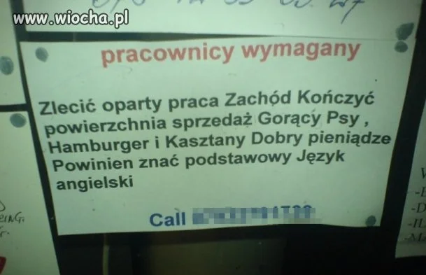 Oferta pracy...