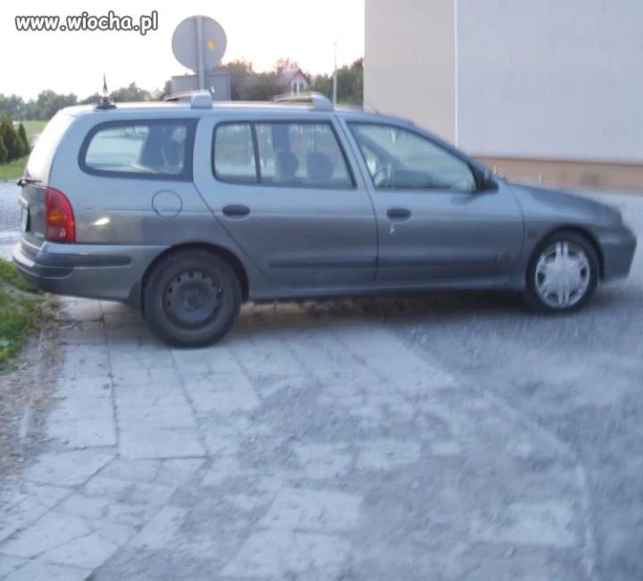 Mistrz parkowania