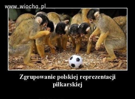 Jest zgrupowanie !