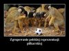 Jest zgrupowanie !