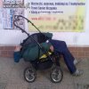 Siesta 