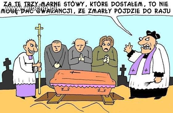 Usługa owszem