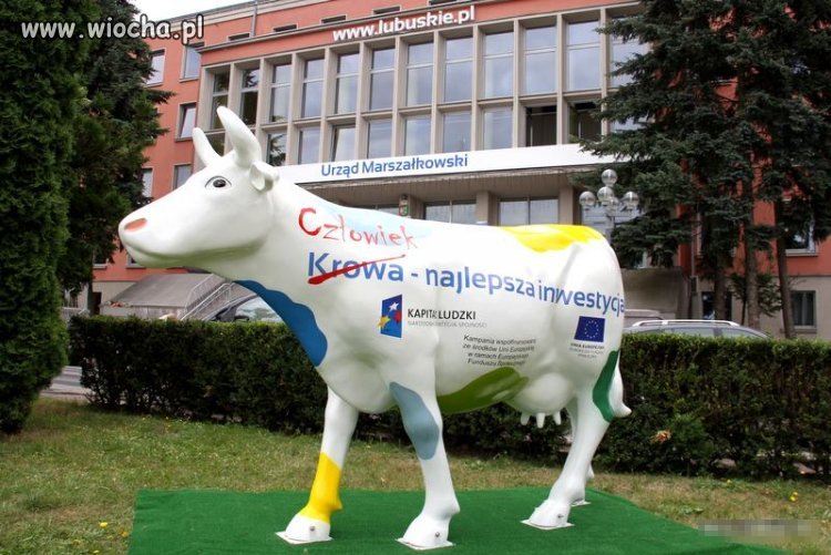 Mistrzostwo urzędniczej kreacji