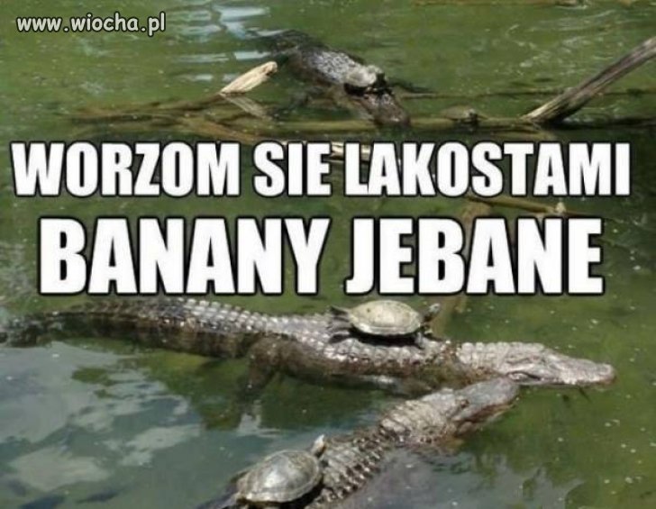 Auto mojego proboszcza 