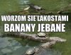 Auto mojego proboszcza 